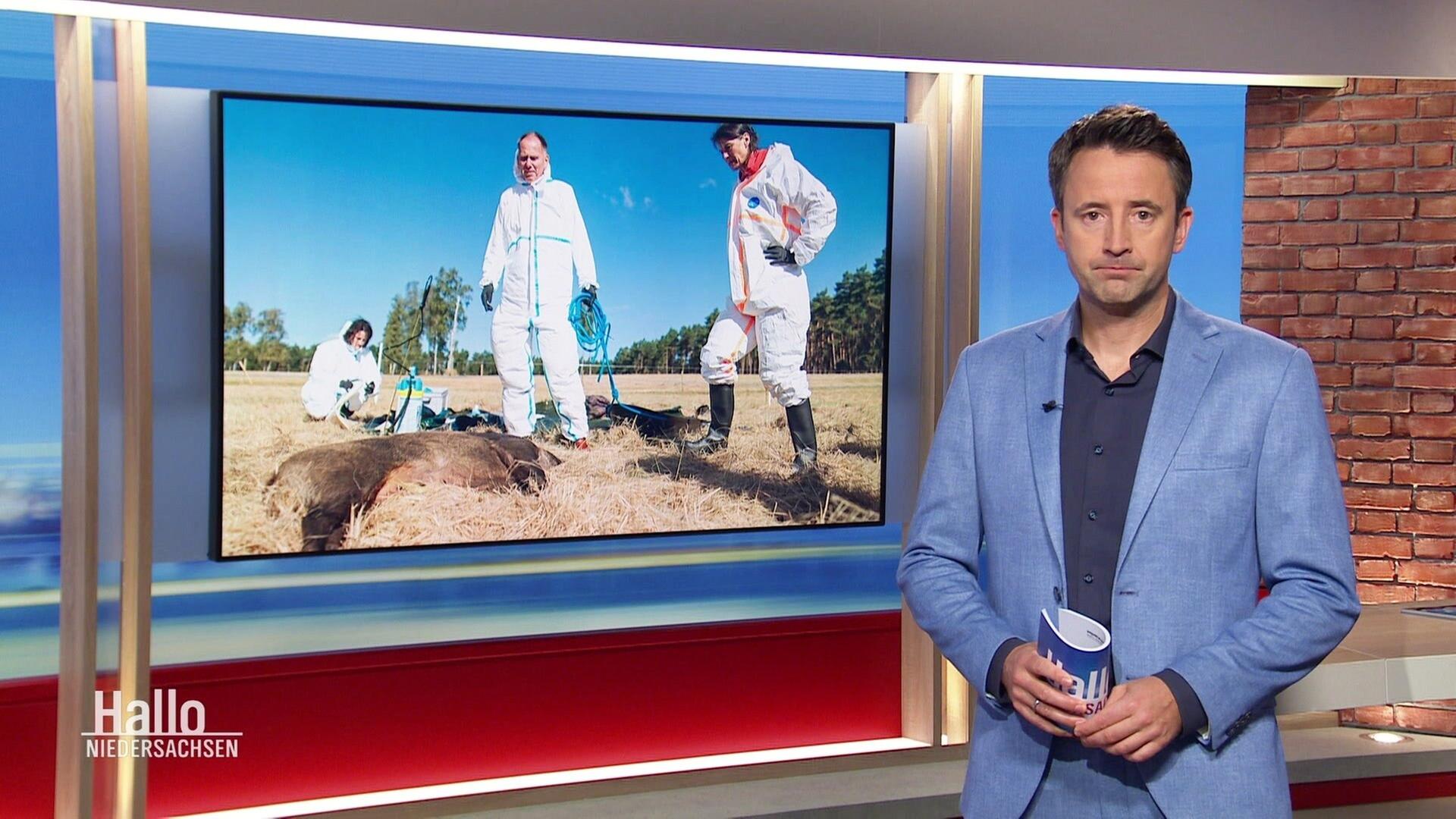 Hallo Niedersachsen - 15.09.2024