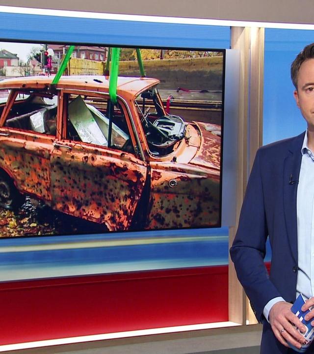 Hallo Niedersachsen - 19.11.2024