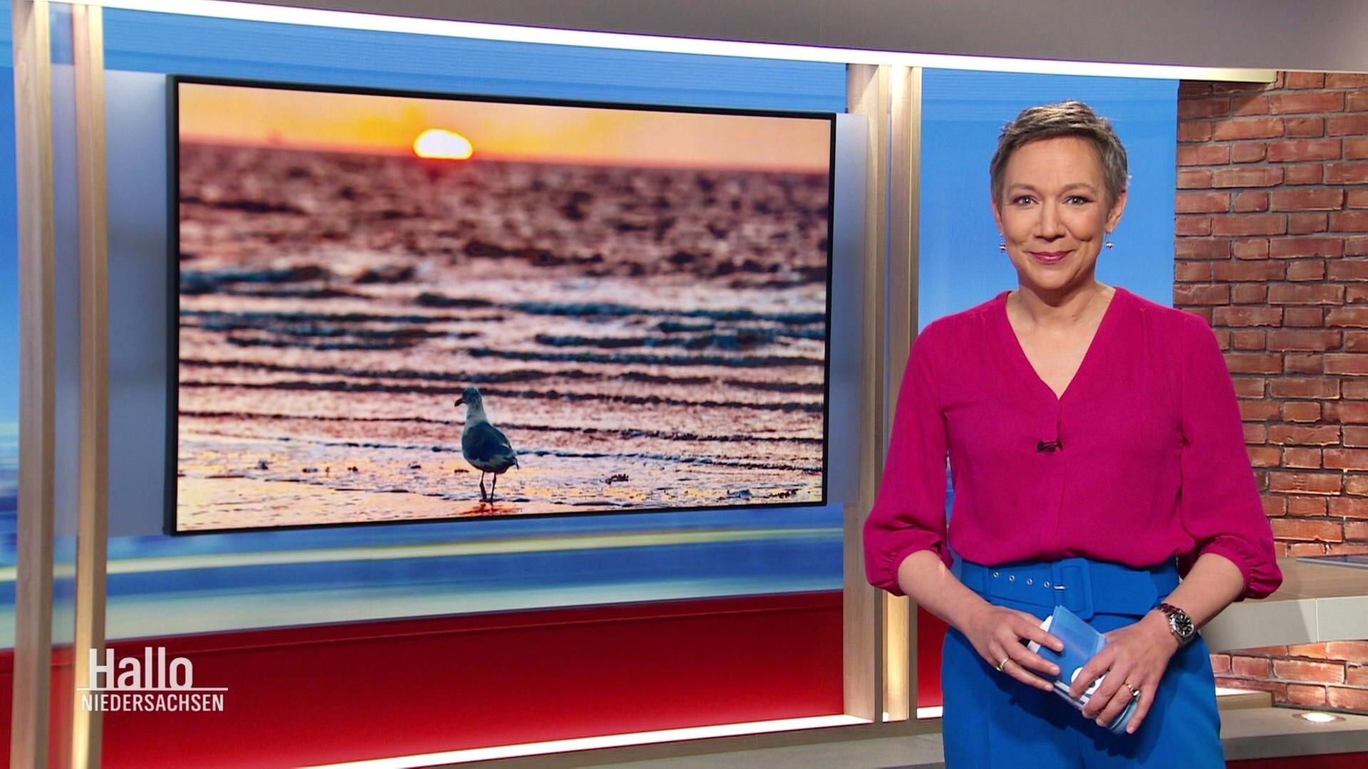 Hallo Niedersachsen - 21.09.2024