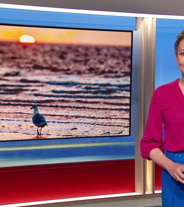 Hallo Niedersachsen - 21.09.2024