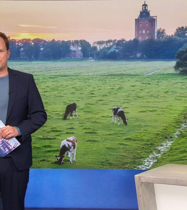 Hamburg Journal 18:00 Uhr - 02.10.2024