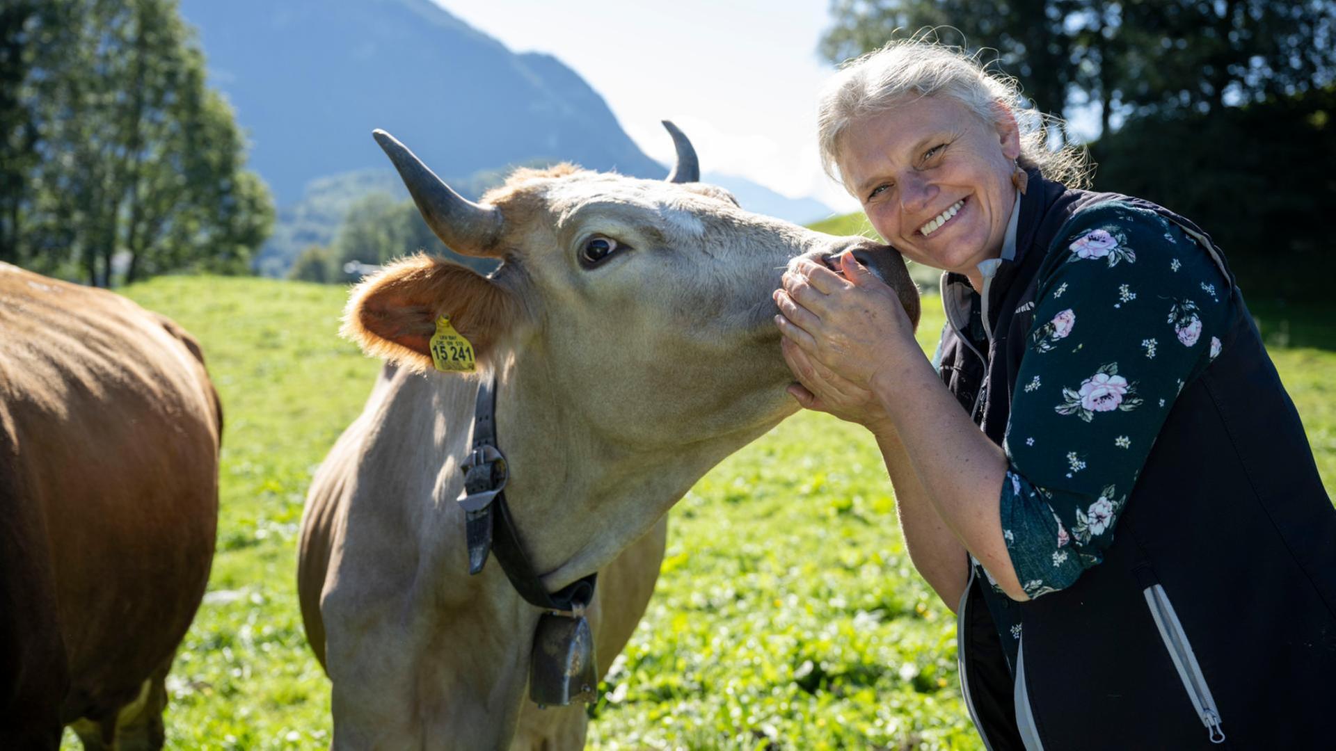 Handgemachter Käse aus dem Inntal