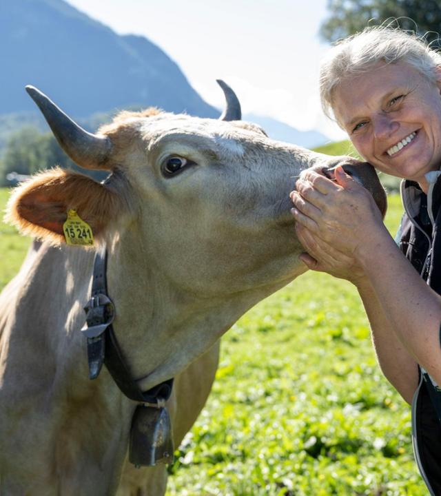 Handgemachter Käse aus dem Inntal