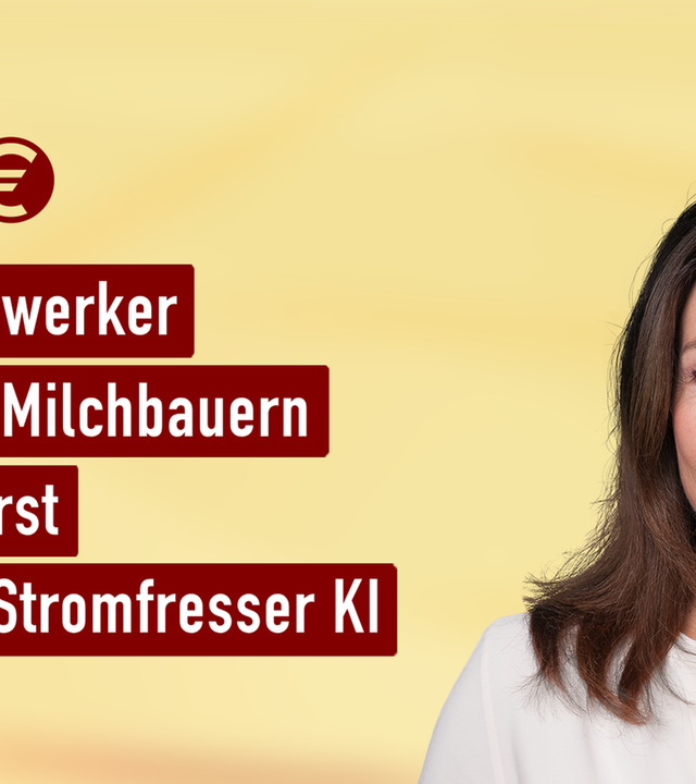 Handwerk zu teuer I mex. das marktmagazin vom 05.02.2025