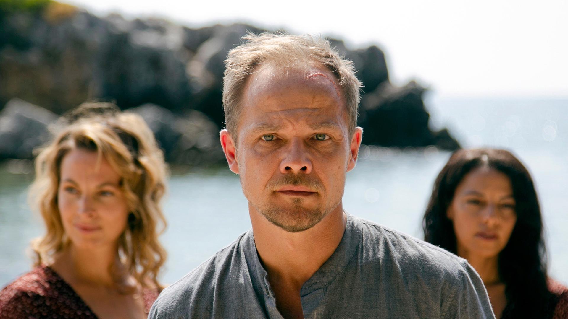 Hartwig Seeler  – Im Labyrinth der Rache