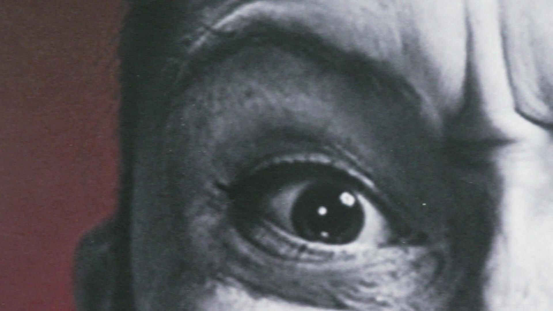 Hass - Der richtige Umgang mit einem schwierigen Gefühl