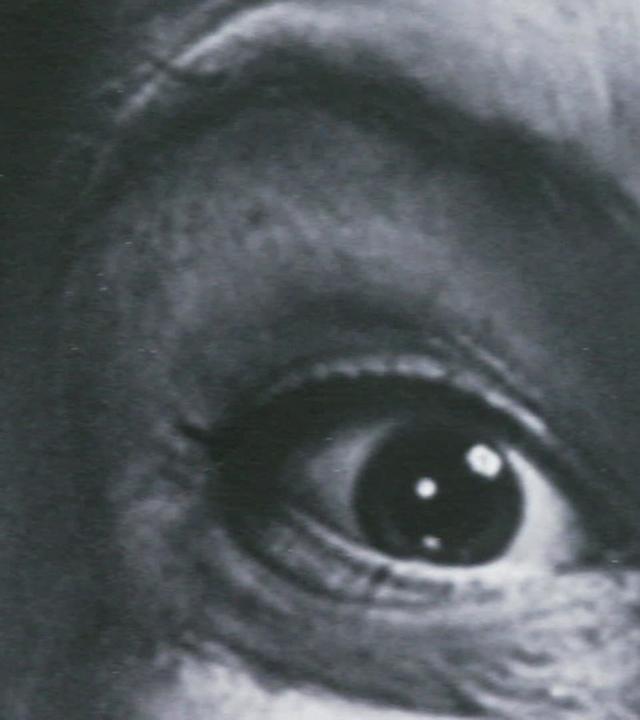 Hass - Der richtige Umgang mit einem schwierigen Gefühl