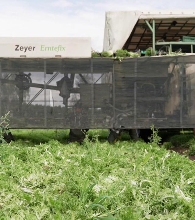 Hightech auf dem Acker - Gemüseanbau im Norden