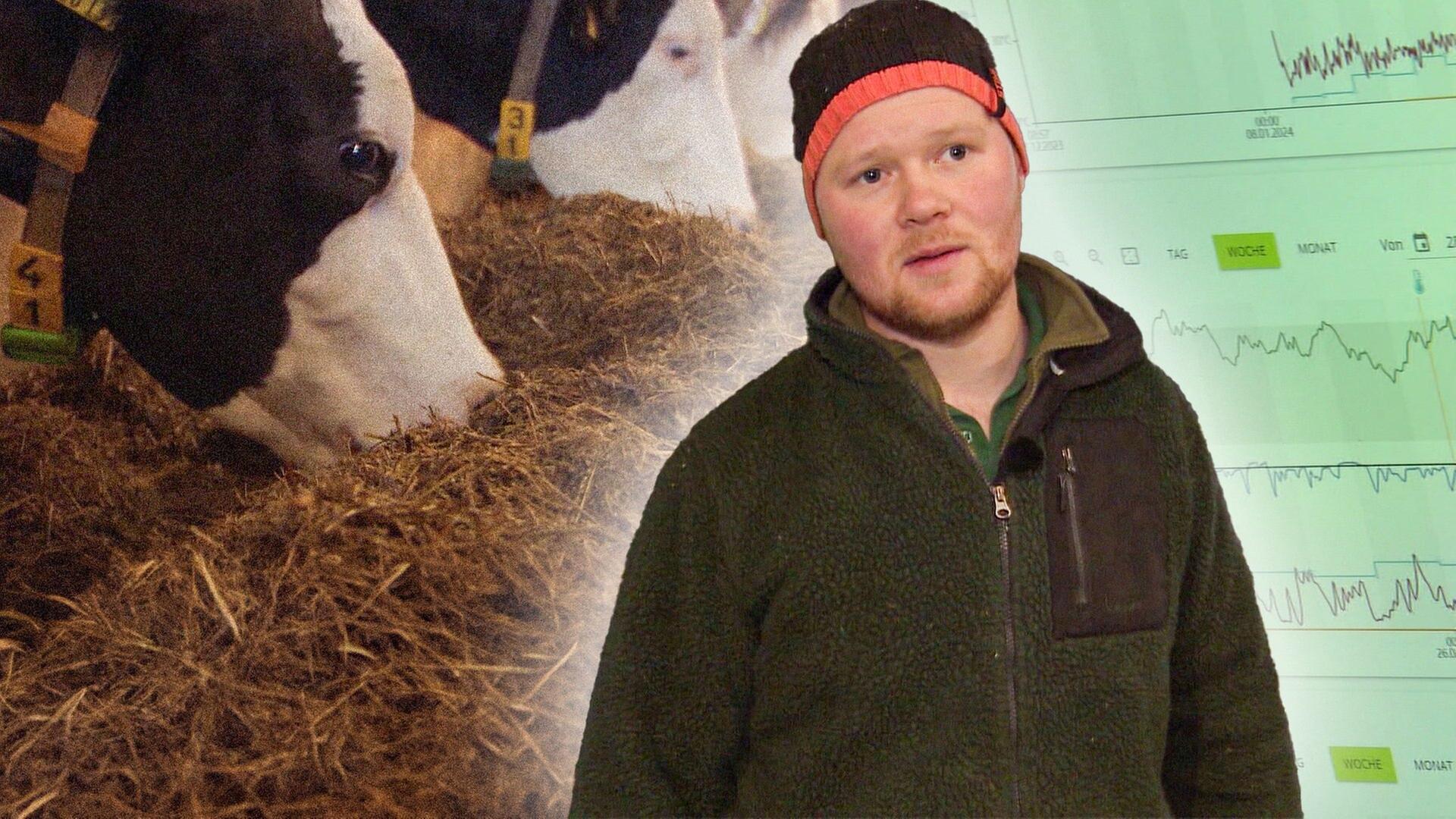 Hightech-Untersuchung bei den Kühen