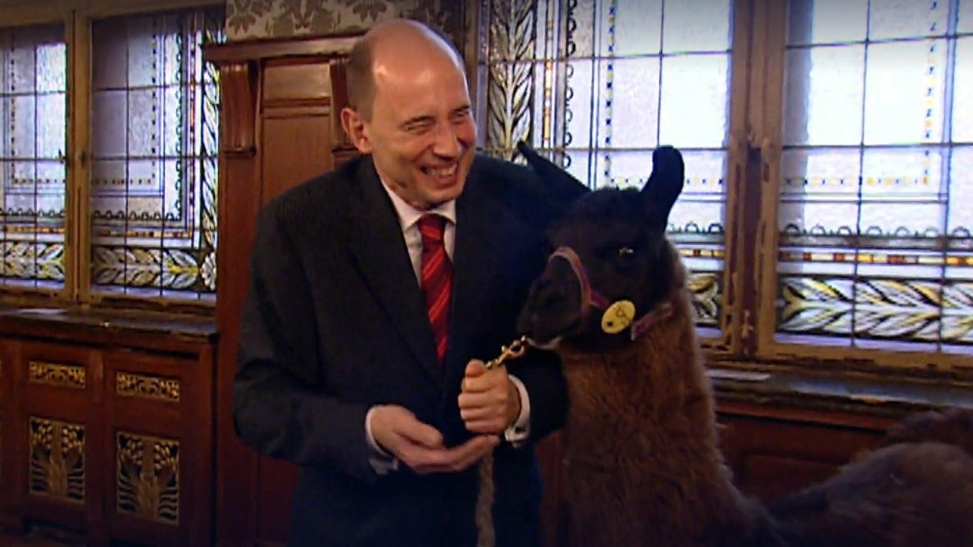 Hohe Tiere unter sich