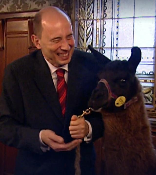 Hohe Tiere unter sich