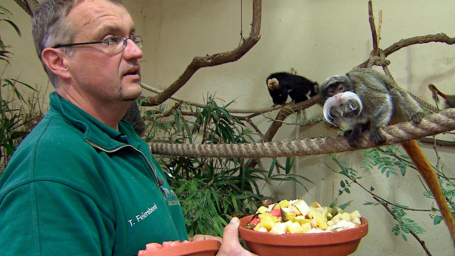 Honigtag im Tierpark Hagenbeck