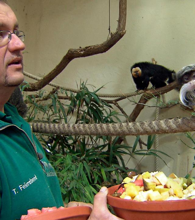 Honigtag im Tierpark Hagenbeck