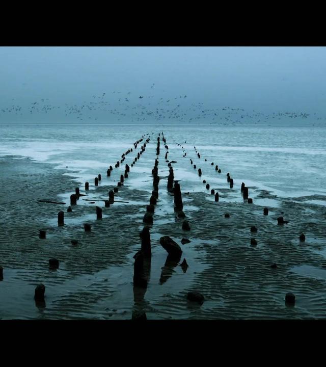 Im Spiel der Gezeiten – Die Welt des Wattenmeers