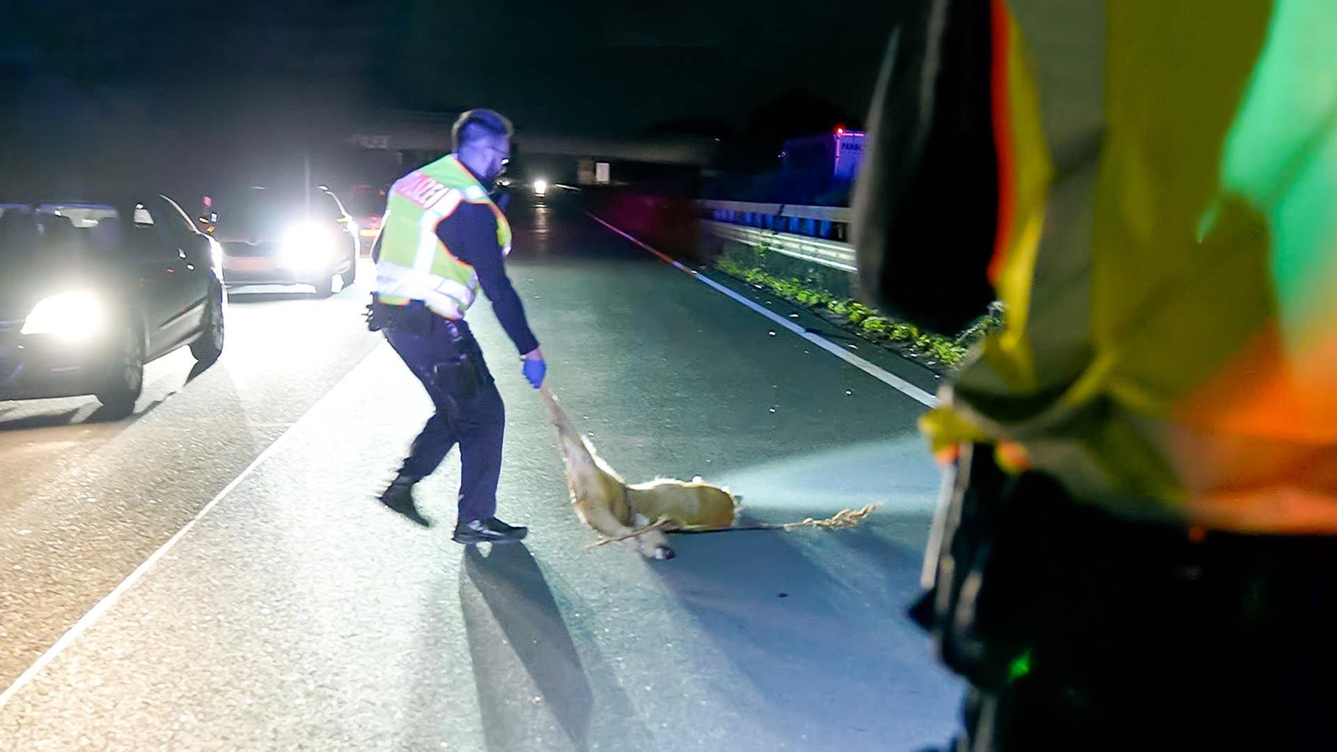 In tödlicher Gefahr