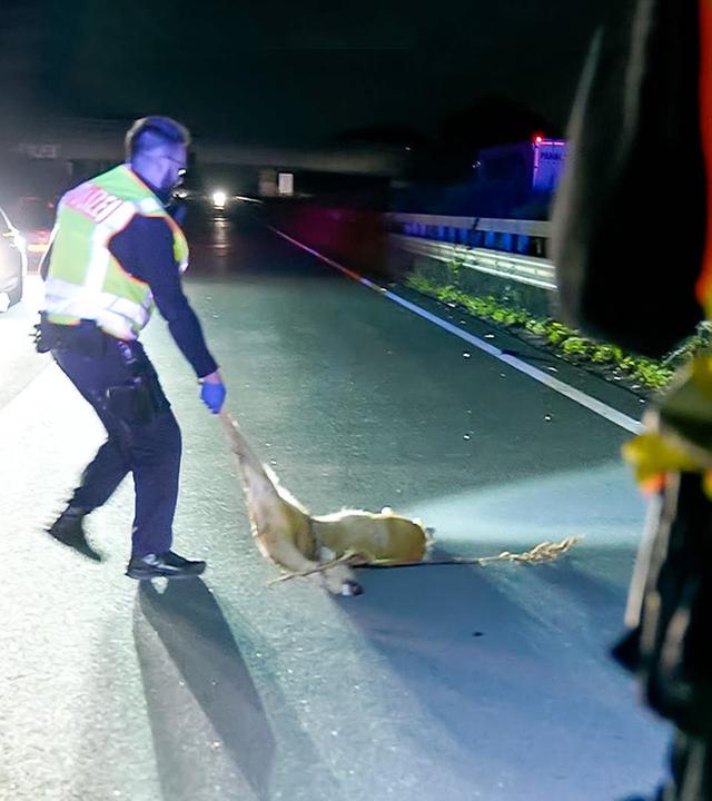 In tödlicher Gefahr