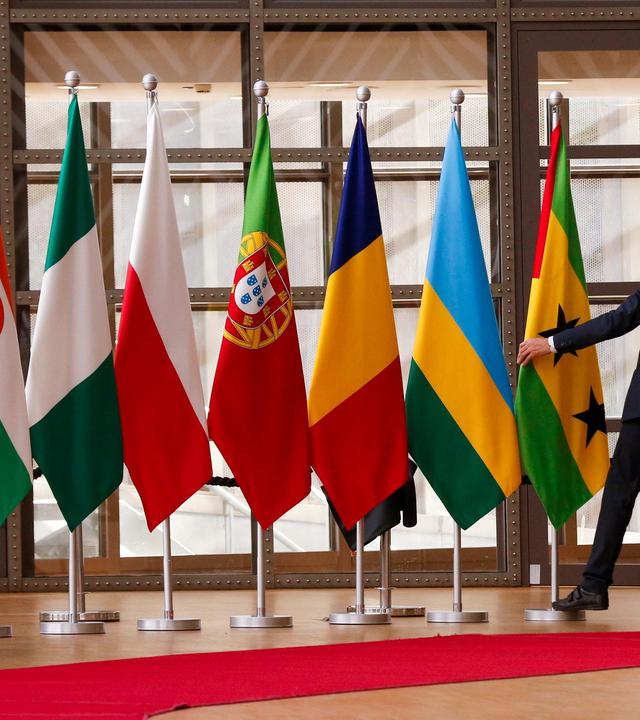 Internationale Organisationen - Nanokosmos Boden