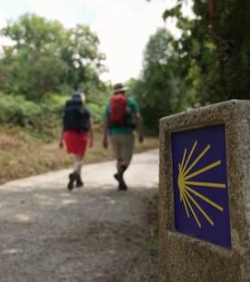 Jakobsweg, da will ich hin!
