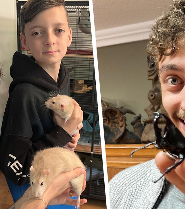 Jason und die Haustiere - Farbratte und Käfer