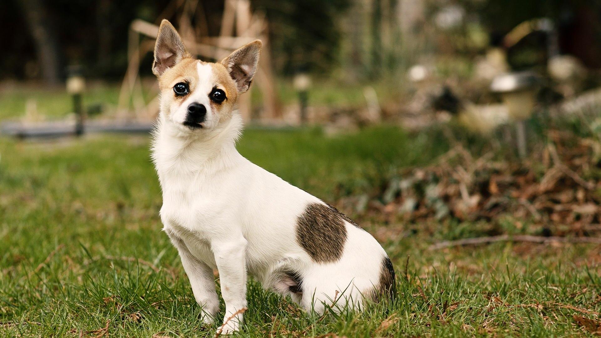 Kalle muss schlafen lernen