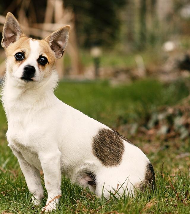 Kalle muss schlafen lernen