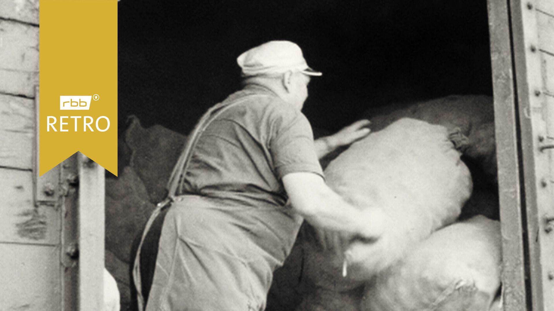 Kartoffeln werden billiger