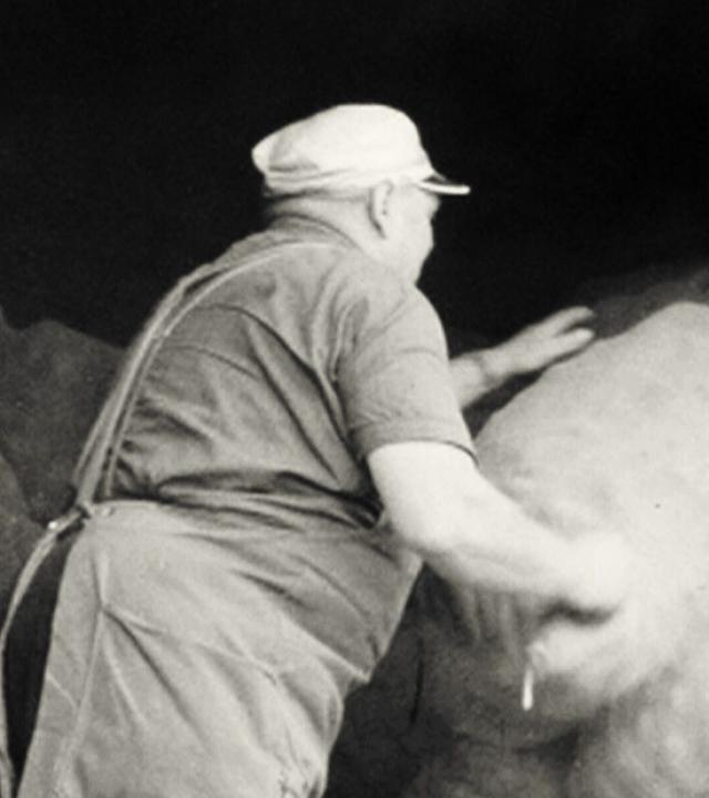 Kartoffeln werden billiger