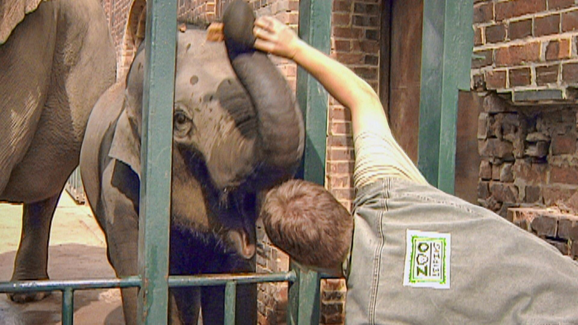 Katzenkinderkrabbelgruppe