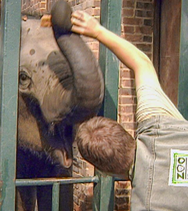 Katzenkinderkrabbelgruppe