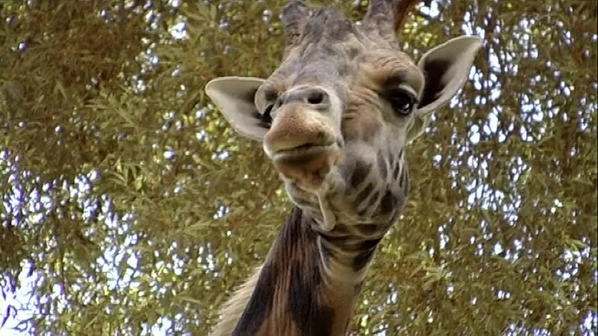 Kinder an die Macht!