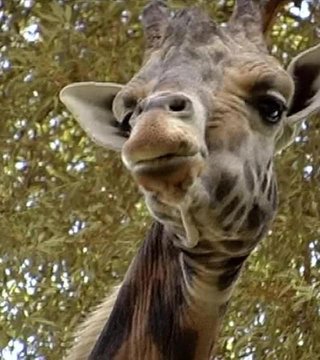 Kinder an die Macht!