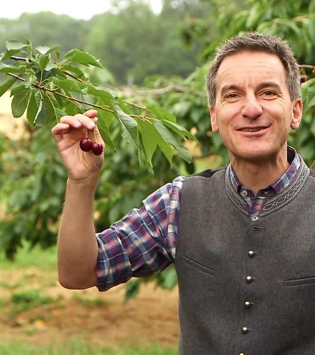 Kirschrezepte, Färben mit heimischen Pflanzen und mehr ...