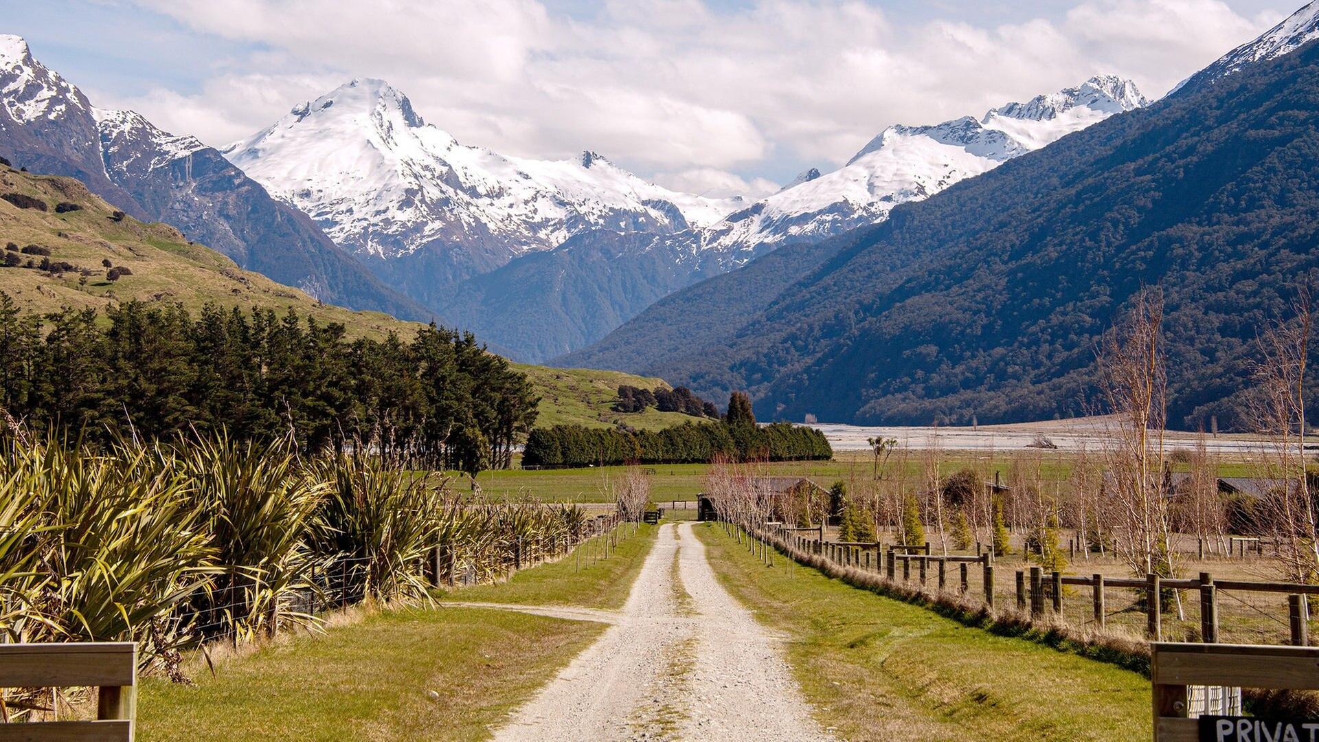 Kiwis, Lagunen & Maori