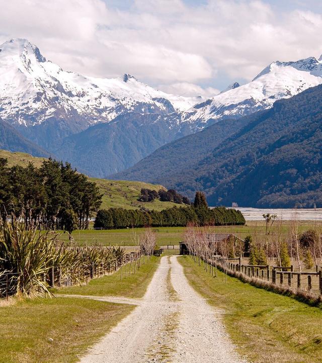 Kiwis, Lagunen & Maori
