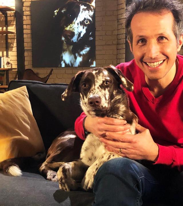 Klügster Hund - Corona-Luftfilter DIY - Anti-Aging - Lawinen-App