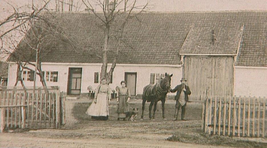 Kolonistenhäuser im Donaumoos