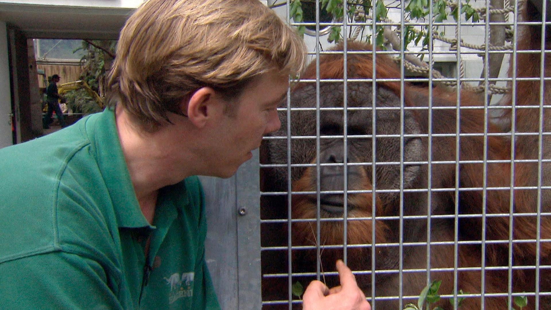 Kraftprobe für Tuan