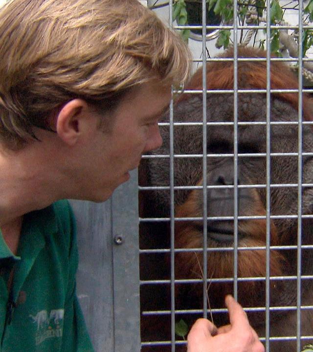 Kraftprobe für Tuan