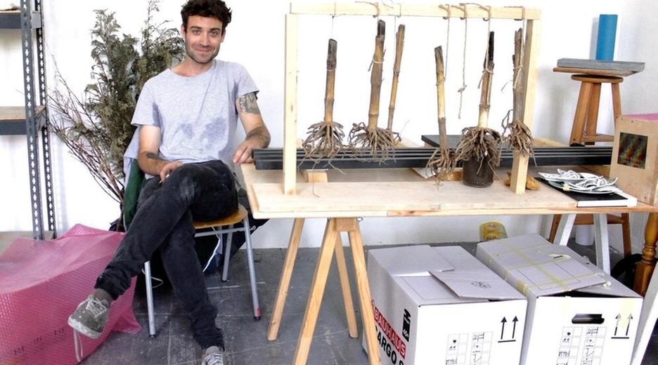 Künstlerische Studiengänge und ihre kreativen Spielräume