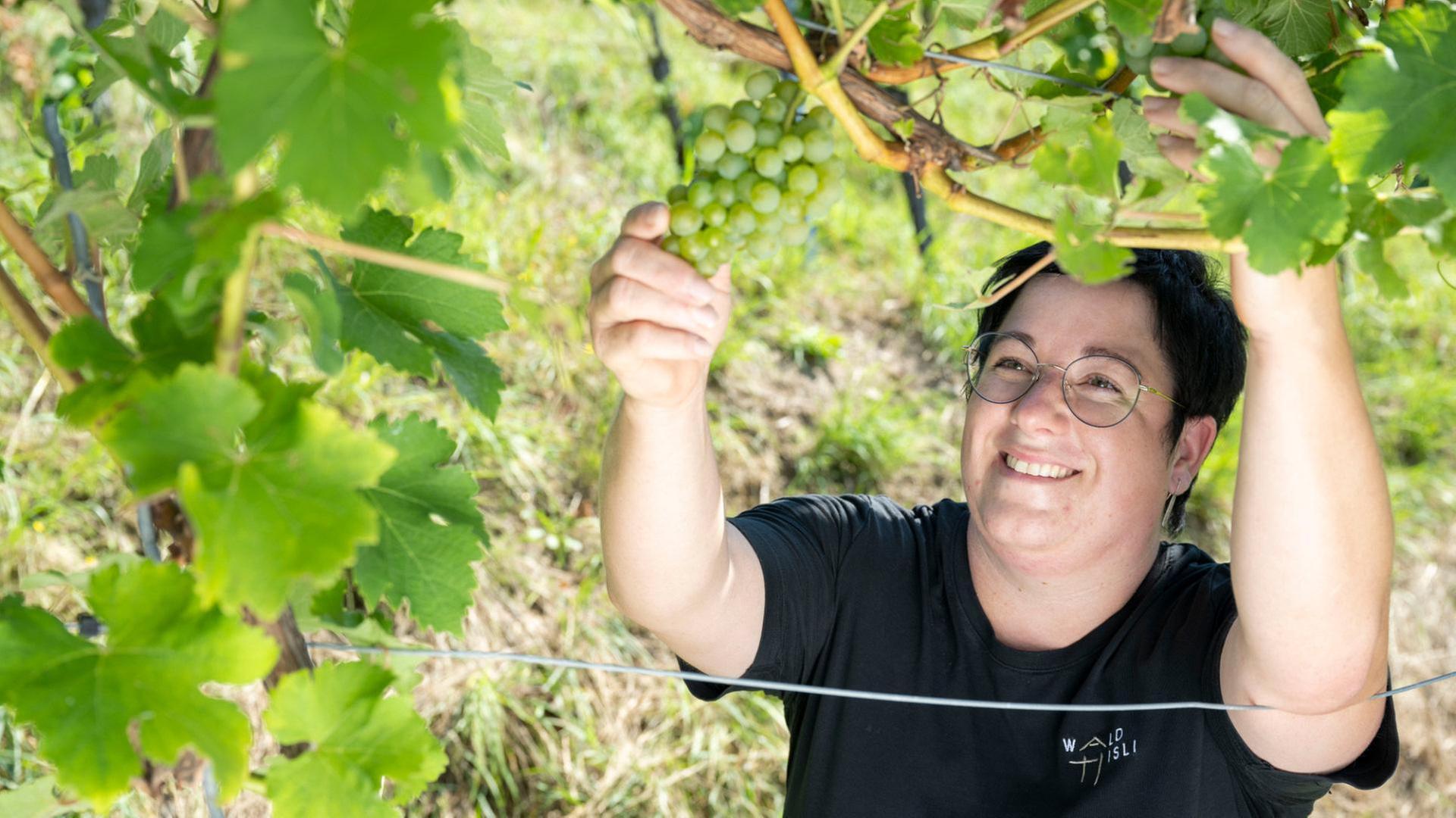 Kulinarische Schätze aus dem Schwarzwald