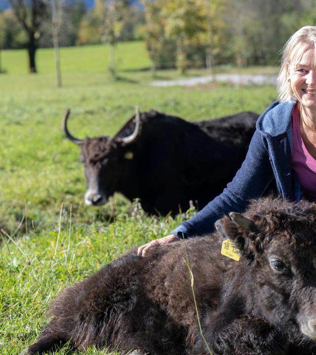 Kulinarische Schätze aus Oberbayern