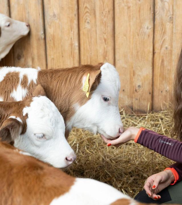 Kulinarische Schätze aus Schwaben