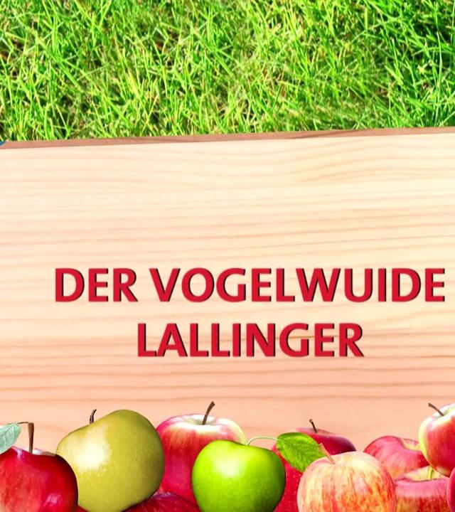 Lallings Landfrauen backen ihren Apfelstrudel
