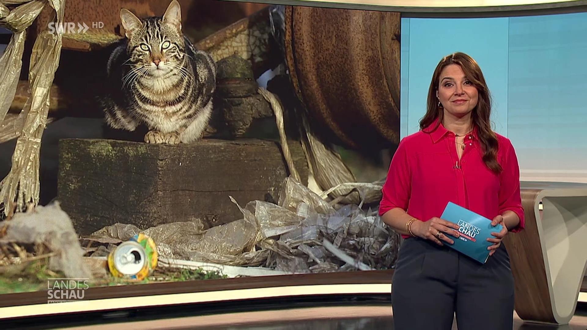 Landesschau Baden-Württemberg vom 12.4.2024