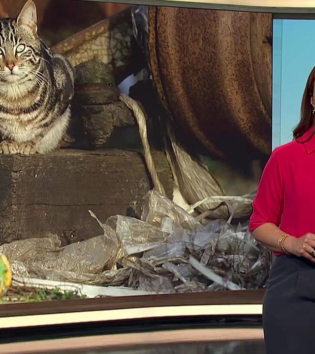 Landesschau Baden-Württemberg vom 12.4.2024