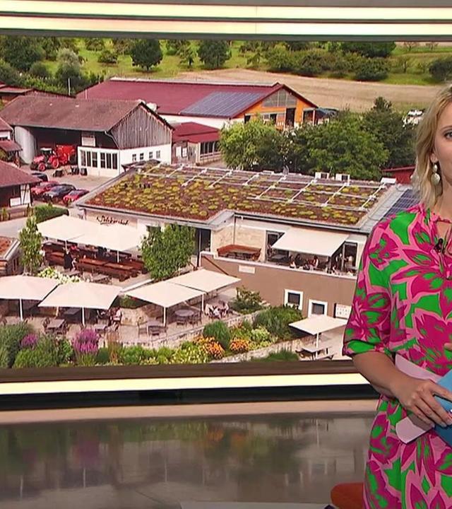 Landesschau Baden-Württemberg vom 31.7.2024