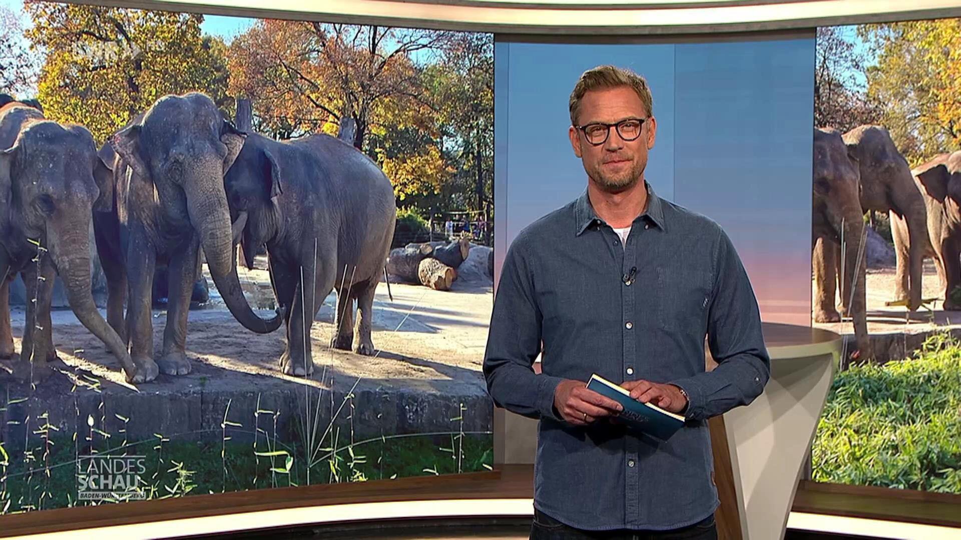 Landesschau Baden-Württemberg vom 6.11.2024