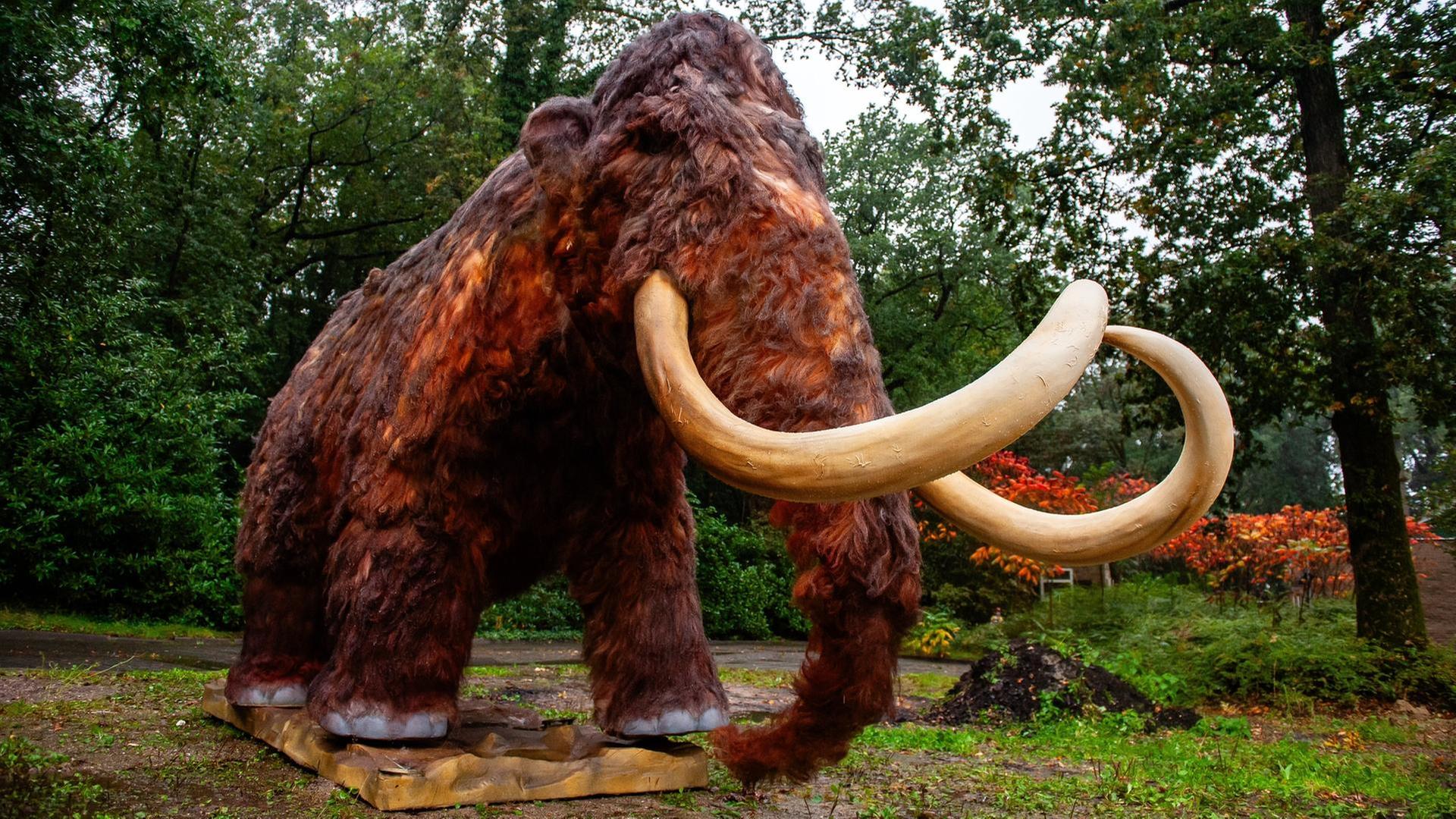 Mammut, Dodo, Wandertaube · Können wir ausgestorbene Tierarten zurückholen?