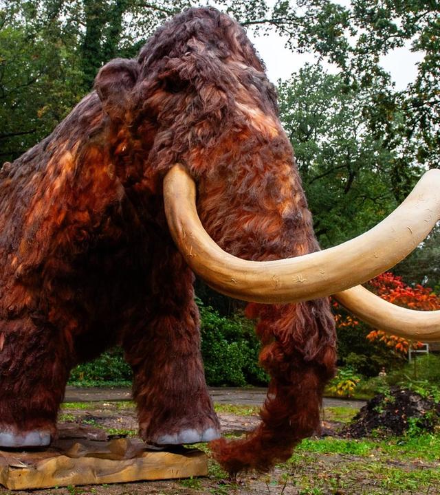 Mammut, Dodo, Wandertaube · Können wir ausgestorbene Tierarten zurückholen?