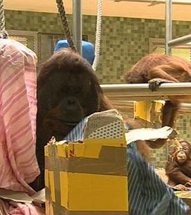 Mano wartet auf Post -